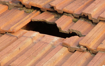 roof repair Pittentrail, Highland