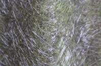 Pittentrail fibreglass roof work